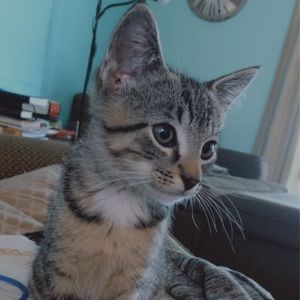 Meet your Posher, Carson